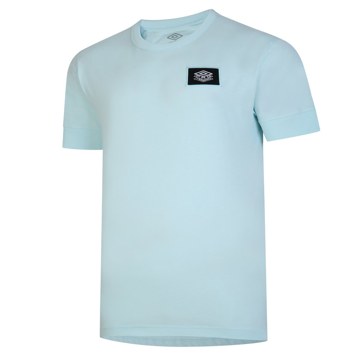 Umbro Pro Antrenman CVC Tee Erkek Tişört Mavi | TR-44637